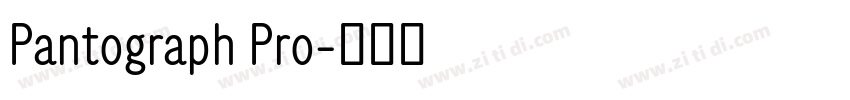 Pantograph Pro字体转换